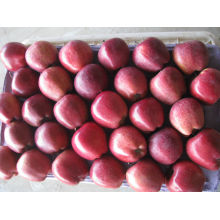 New crop apple fresh huniu fruit